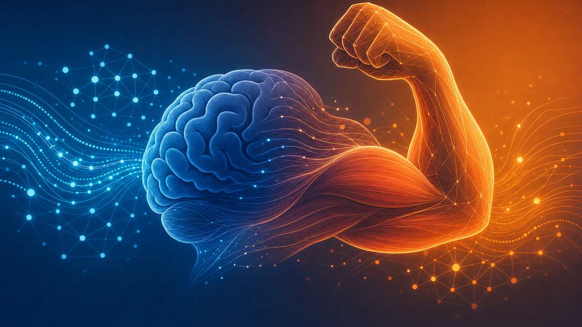 脳と筋肉が融合するAI習熟のイメージ